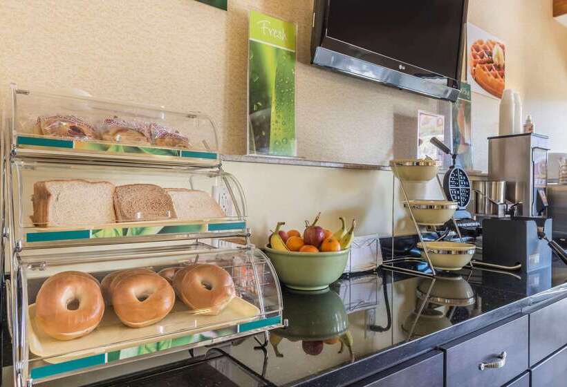 모텔 Quality Inn & Suites