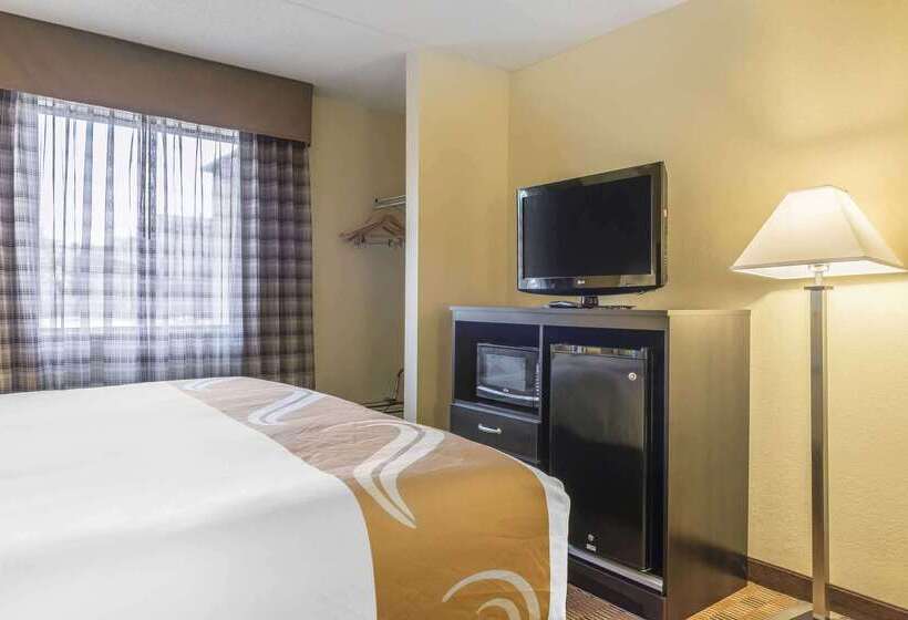 모텔 Quality Inn & Suites