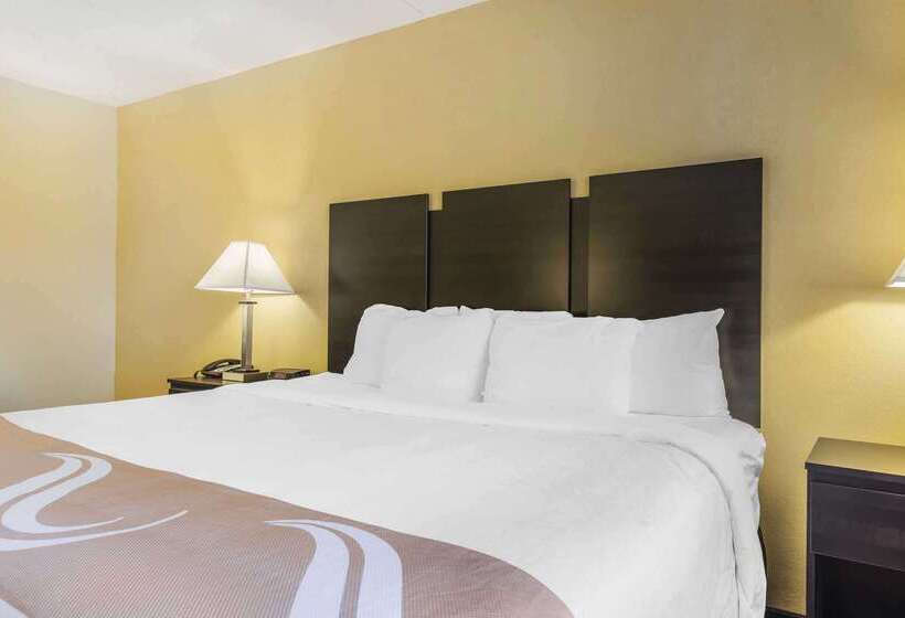 모텔 Quality Inn & Suites