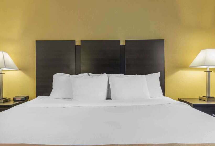 모텔 Quality Inn & Suites