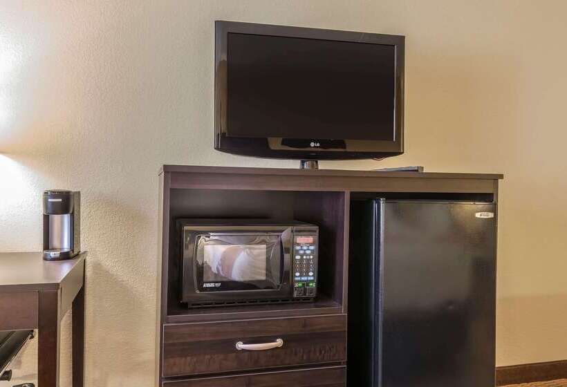 모텔 Quality Inn & Suites