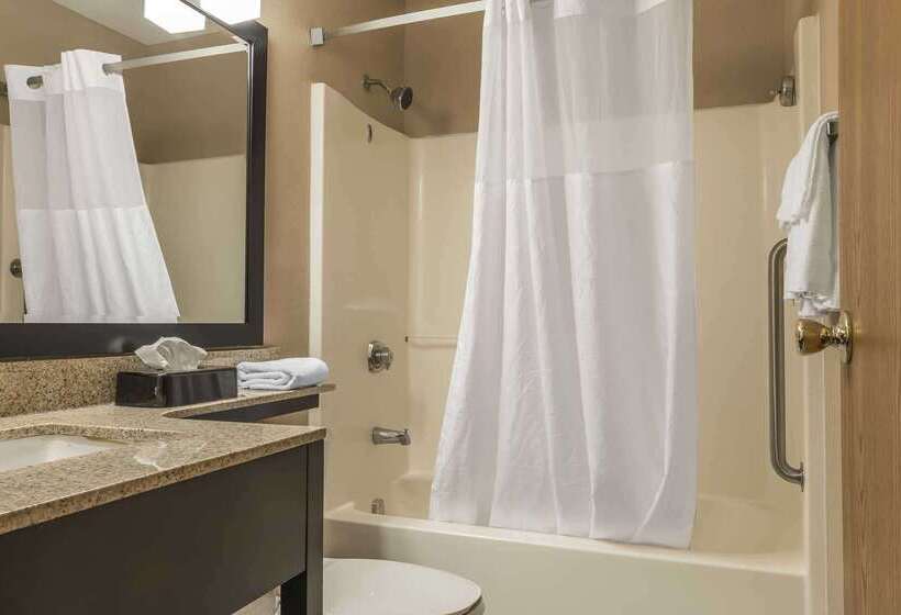 모텔 Quality Inn & Suites