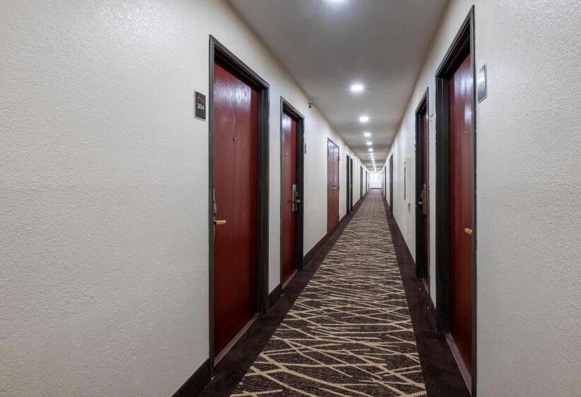 فندق على الطريق Red Roof Inn Norfolk   Portsmouth