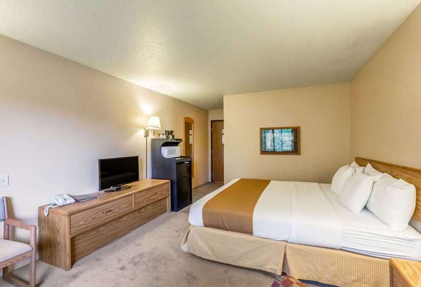 モーテル Rodeway Inn