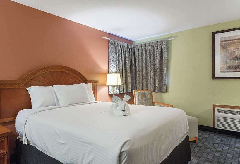 모텔 Rodeway Inn