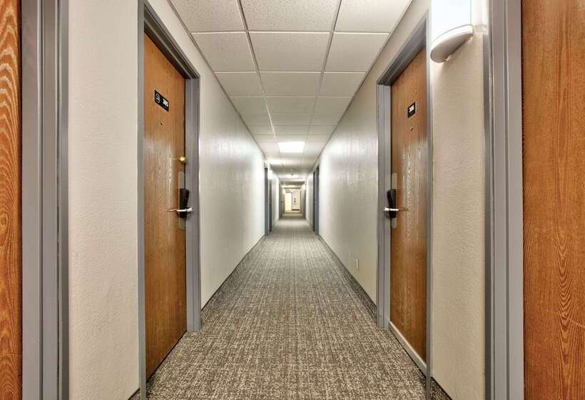 فندق على الطريق Super 8 By Wyndham Amarillo