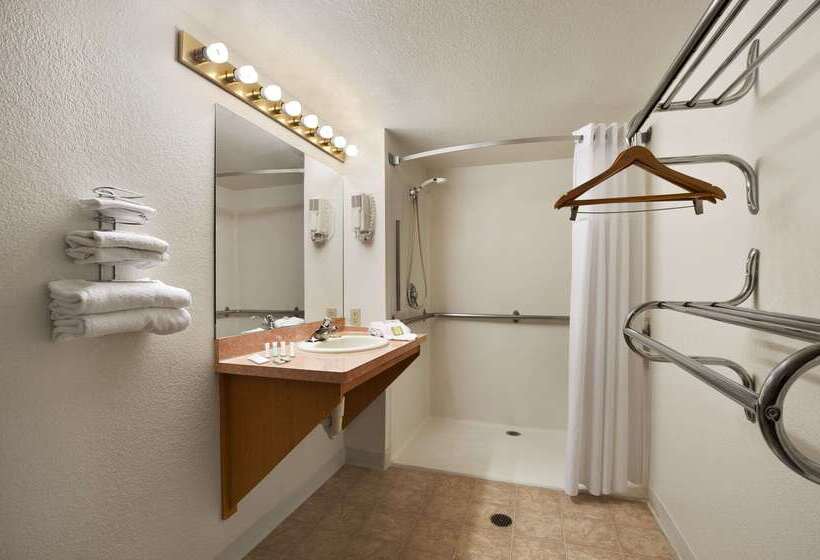 汽车旅馆  Super 8 By Wyndham Austin North/university Area