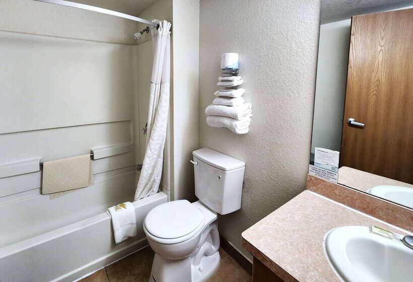 汽车旅馆  Super 8 By Wyndham Austin North/university Area