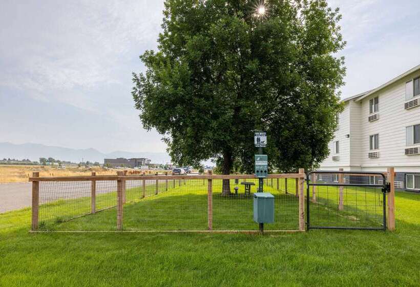 مُتل Super 8 By Wyndham Belgrade/bozeman Airport