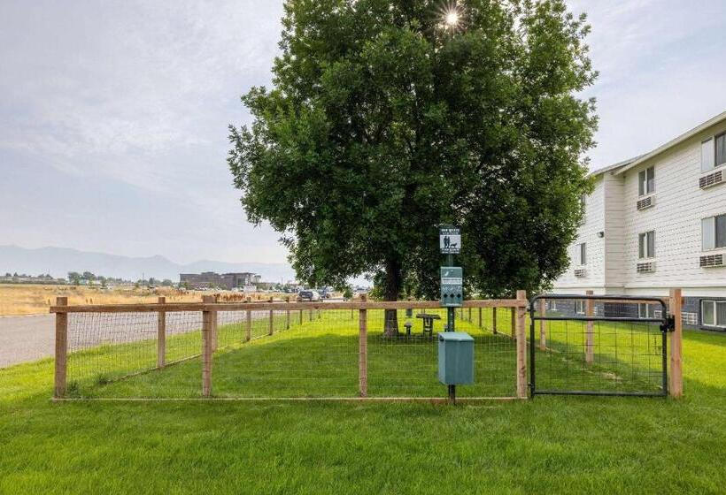 مُتل Super 8 By Wyndham Belgrade/bozeman Airport