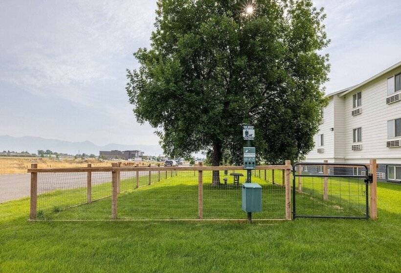 مُتل Super 8 By Wyndham Belgrade/bozeman Airport