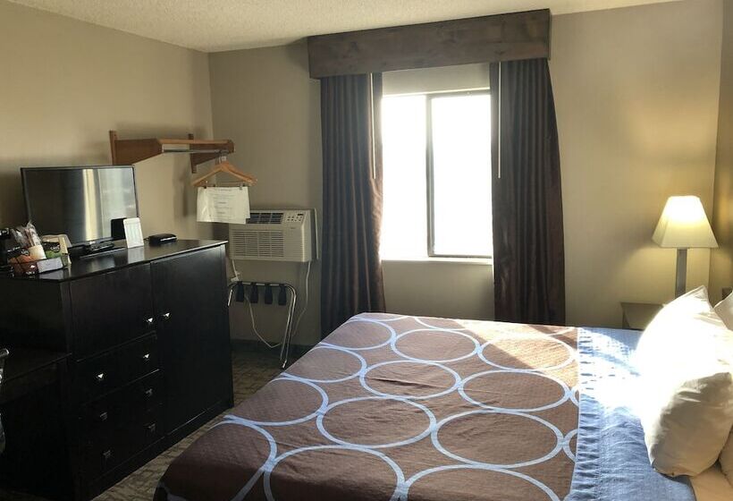 모텔 Super 8 By Wyndham Boise