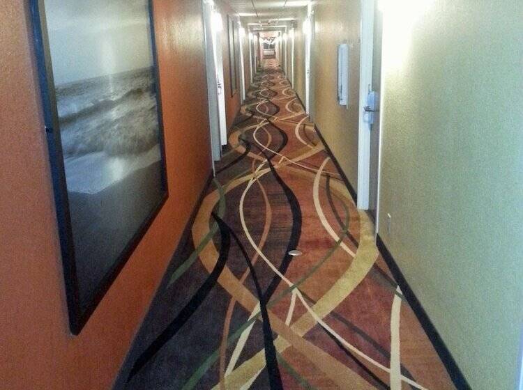 فندق على الطريق Super 8 By Wyndham Brookings