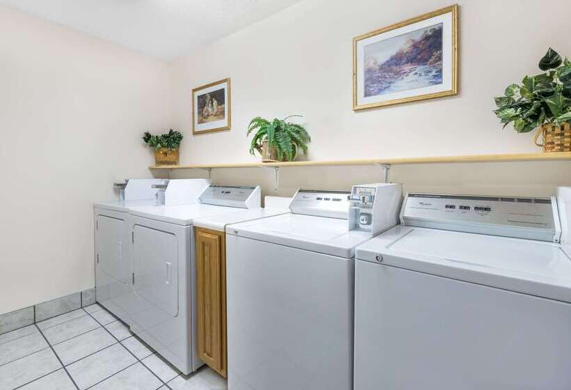 汽车旅馆  Super 8 By Wyndham Chamberlain Sd