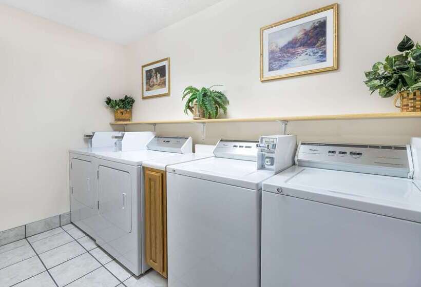 汽车旅馆  Super 8 By Wyndham Chamberlain Sd