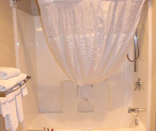 汽车旅馆  Super 8 By Wyndham Chamberlain Sd