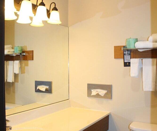 汽车旅馆  Super 8 By Wyndham Chamberlain Sd