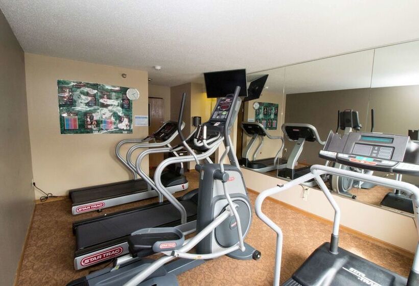 مُتل Super 8 By Wyndham Chicago O'hare Airport