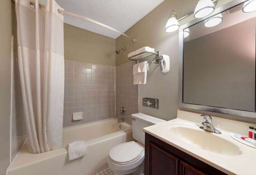 فندق على الطريق Super 8 By Wyndham Cleveland