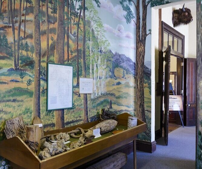 מוטל Super 8 By Wyndham Custer/crazy Horse Area