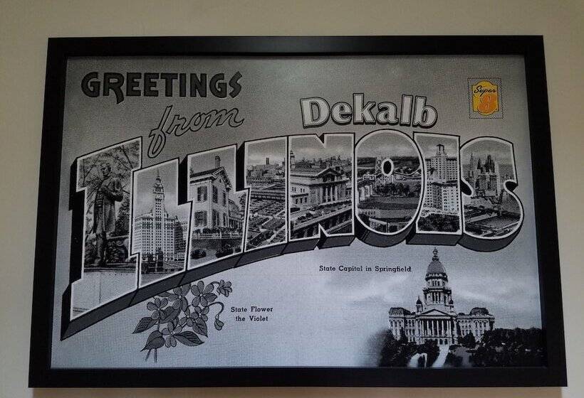 汽车旅馆  Super 8 By Wyndham Dekalb Il