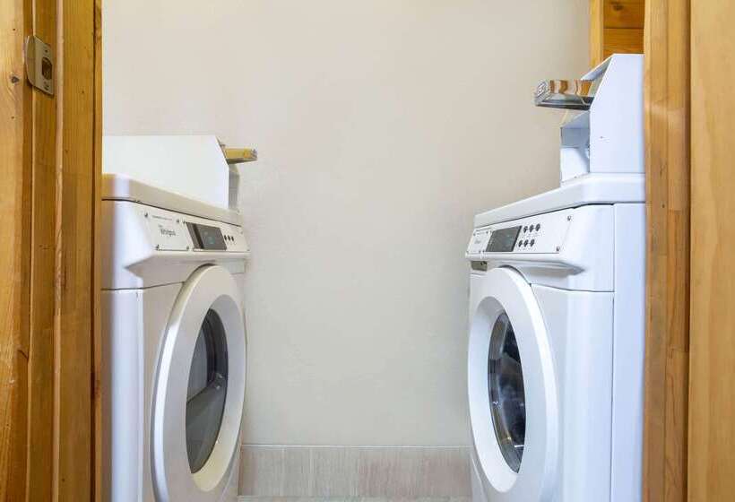 فندق على الطريق Super 8 By Wyndham Elkins