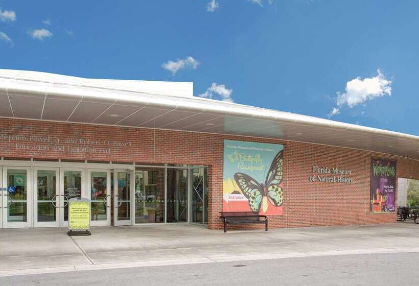 فندق على الطريق Super 8 Gainesville I 75 Hospital University Area