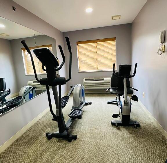 汽车旅馆  Super 8 By Wyndham Imlay City