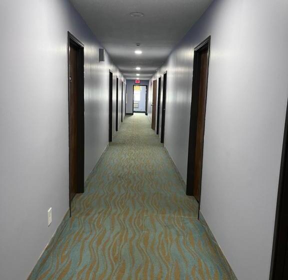 汽车旅馆  Super 8 By Wyndham Imlay City