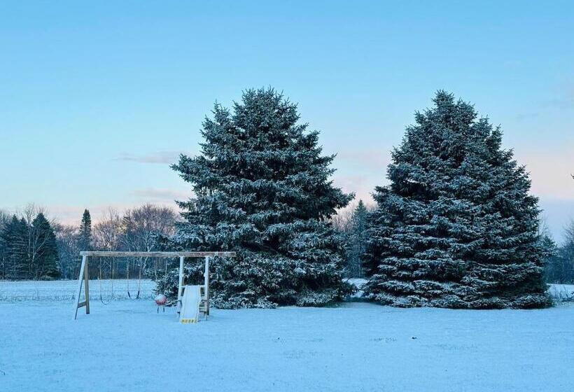 汽车旅馆  Super 8 By Wyndham Imlay City