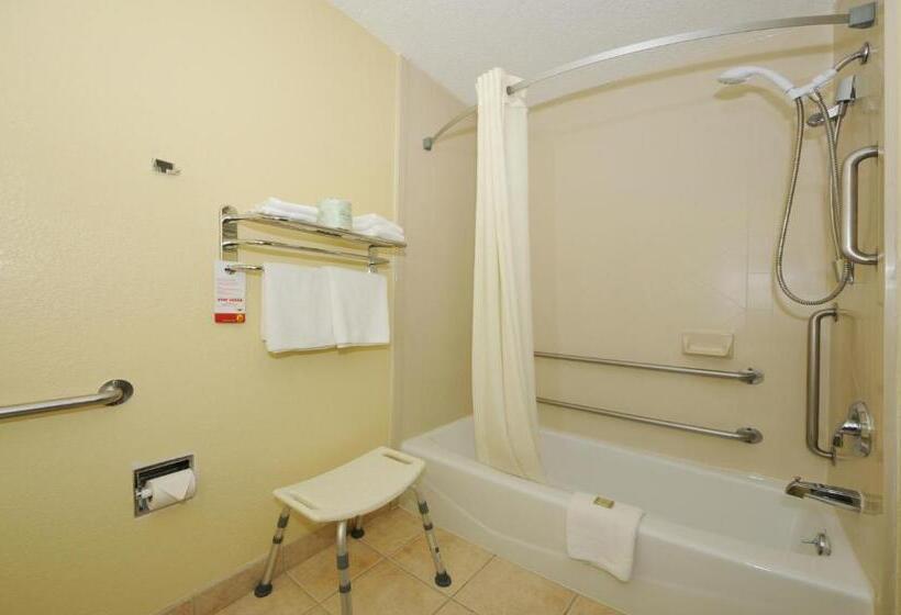 汽车旅馆  Super 8 By Wyndham Latham   Albany Airport