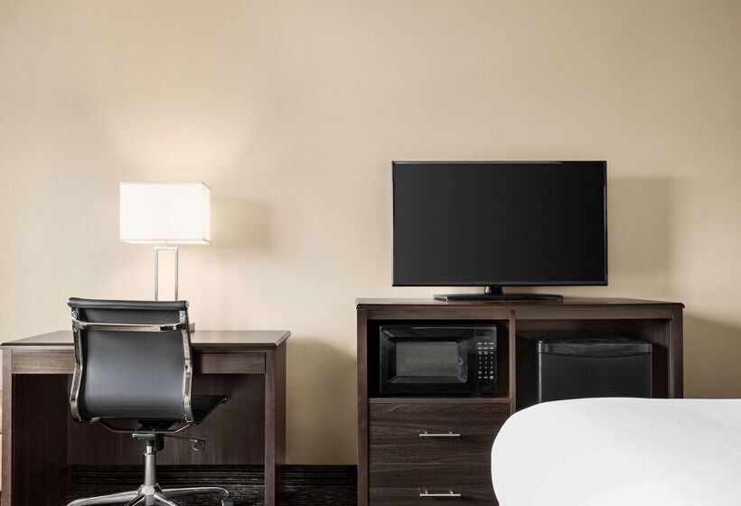 汽车旅馆 Super 8 By Wyndham Lincoln North