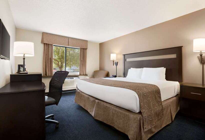 汽车旅馆 Super 8 By Wyndham Lincoln North