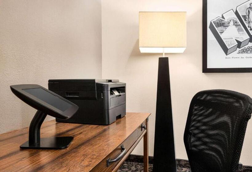 汽车旅馆 Super 8 By Wyndham Lincoln North