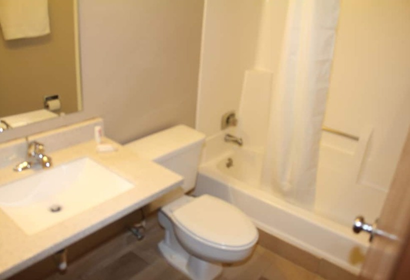 فندق على الطريق Super 8 By Wyndham Michigan City