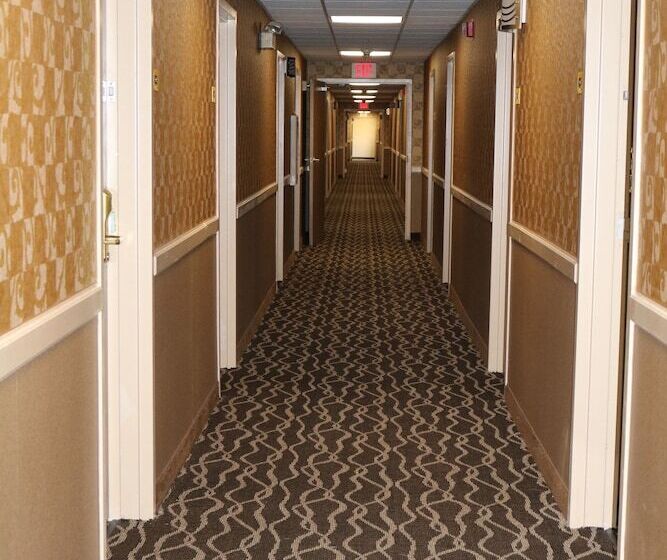 فندق على الطريق Super 8 By Wyndham Plattsburgh