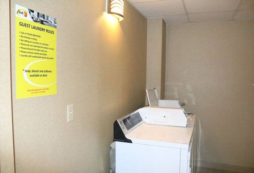 فندق على الطريق Super 8 By Wyndham Plattsburgh