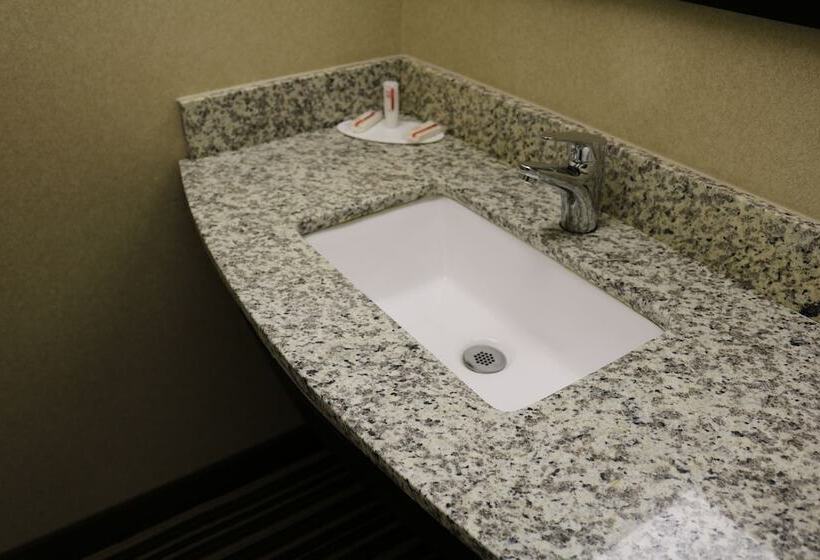 فندق على الطريق Super 8 By Wyndham Plattsburgh