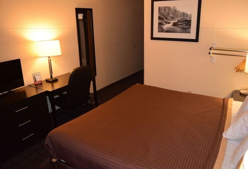 فندق على الطريق Super 8 By Wyndham Saginaw