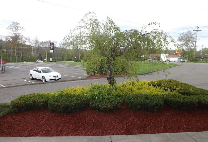 מוטל Super 8 By Wyndham Sidney Ny