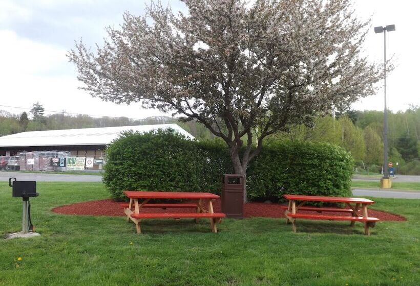 מוטל Super 8 By Wyndham Sidney Ny