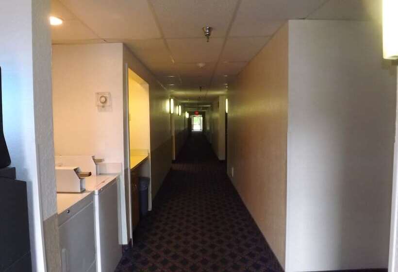 מוטל Super 8 By Wyndham Sidney Ny