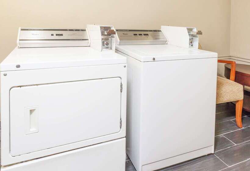 汽车旅馆  Super 8 By Wyndham Sterling Heights/detroit Area