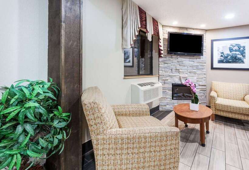 汽车旅馆  Super 8 By Wyndham Sterling Heights/detroit Area