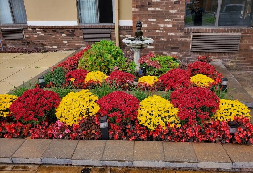 모텔 Super 8 By Wyndham Sterling Heights/detroit Area