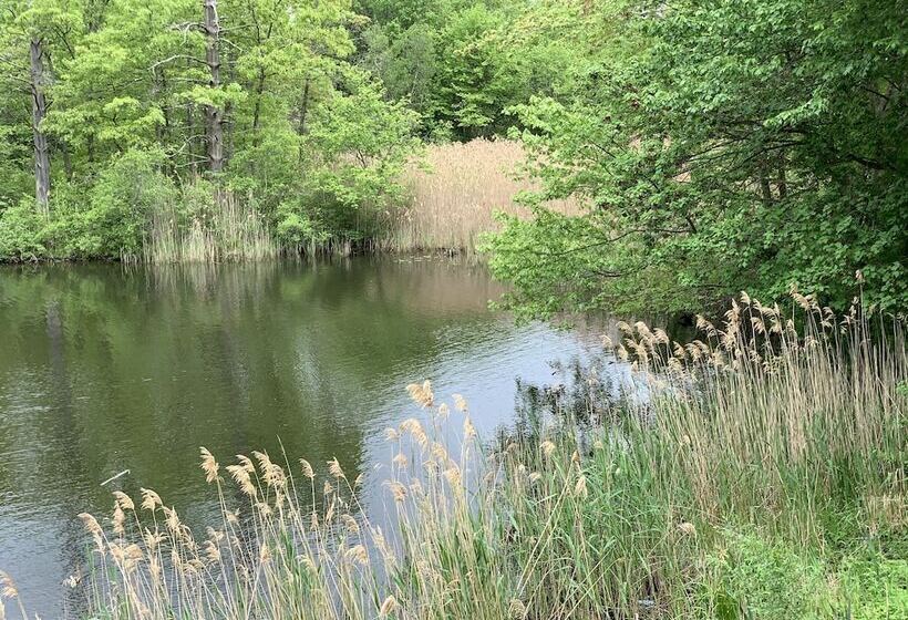 فندق على الطريق Super 8 By Wyndham Sturbridge