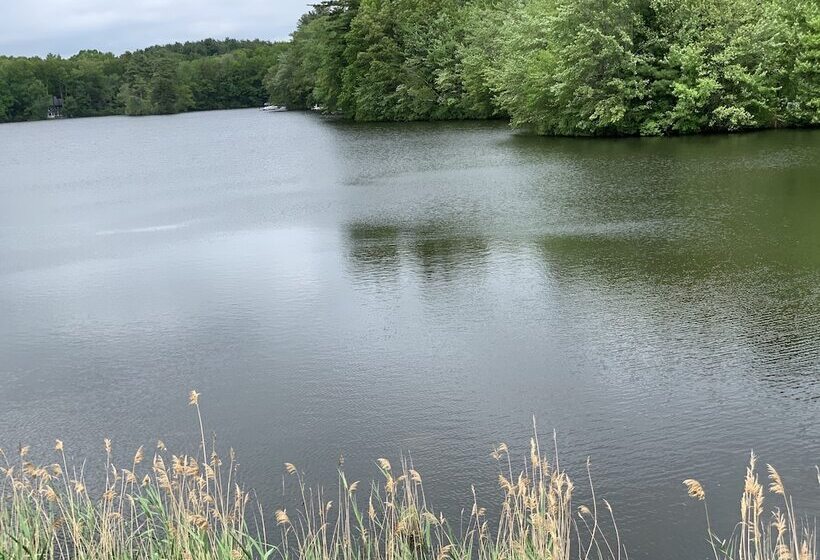 فندق على الطريق Super 8 By Wyndham Sturbridge