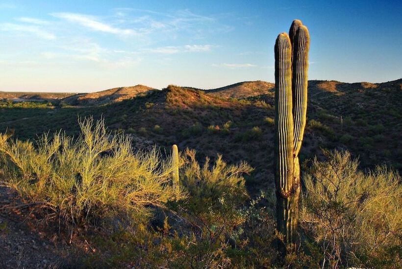 모텔 Super 8 By Wyndham Wickenburg Az