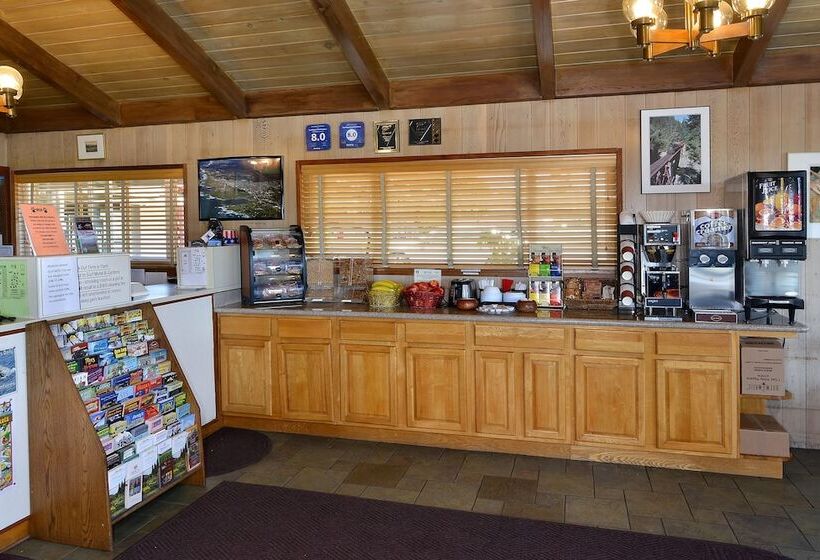 Surf Motel And Gardens