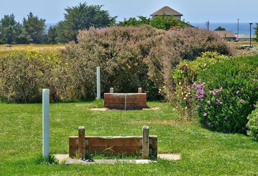 Surf Motel And Gardens